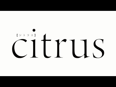 Трейлер PV1