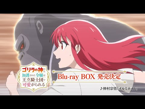 Трейлер Blu-ray BOX