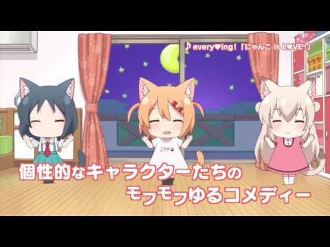 Трейлер nyanko days - Trailer