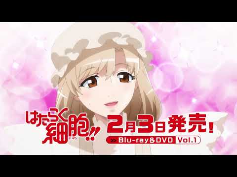 Трейлер Blu-ray&DVD