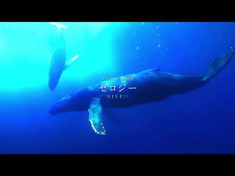 Трейлер PV1