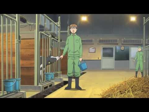 Трейлер PV1