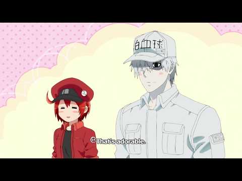 Трейлер PV2 (Aniplex) Sub