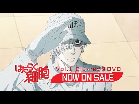 Трейлер Blu-ray&DVD