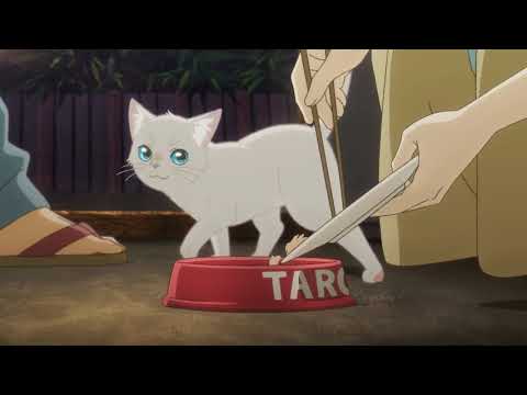 Трейлер PV3