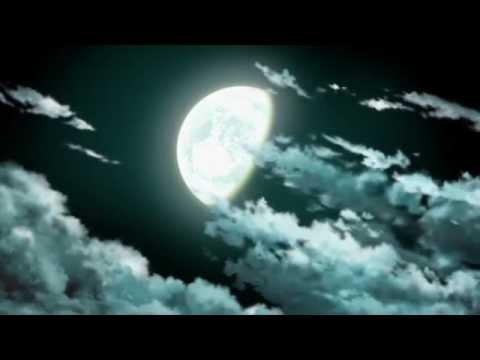 Трейлер 