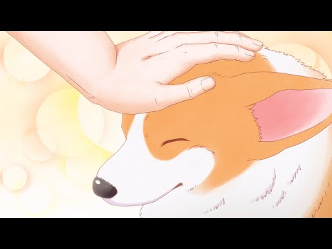 Трейлер PV1