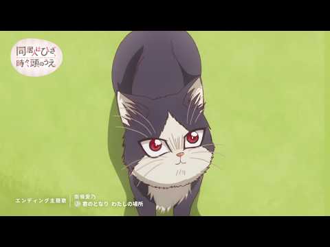Трейлер PV2 ED ver.