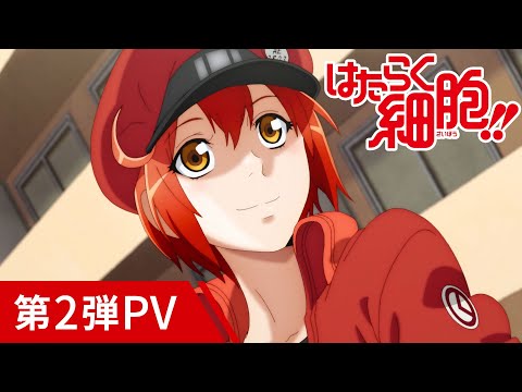 Трейлер PV2
