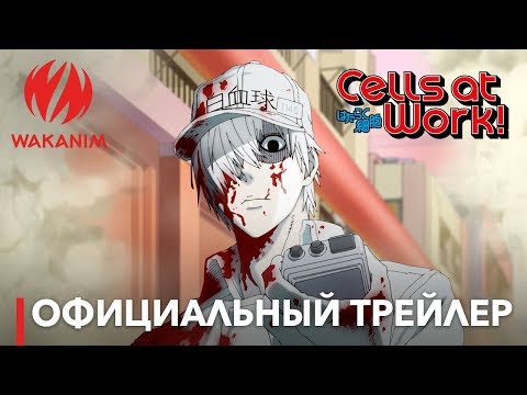 Трейлер PV1 (Wakanim) Субтитры