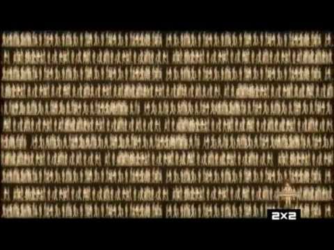 Трейлер Трейлер 2x2