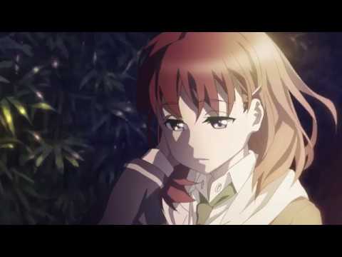 Трейлер PV5