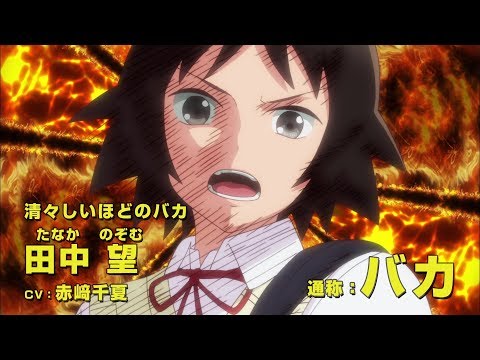 Трейлер PV2