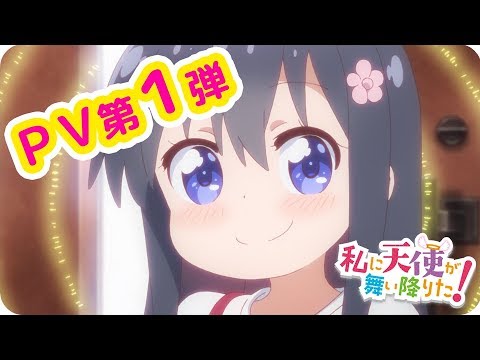 Трейлер PV1