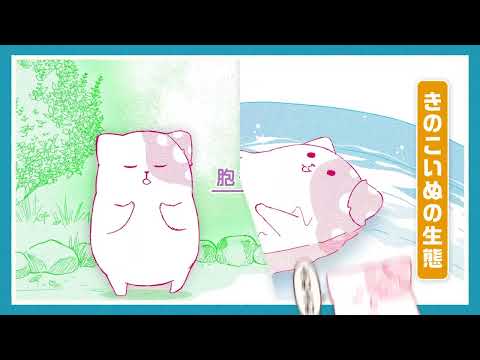 Трейлер Анонс (AniMaunt) Озвучка