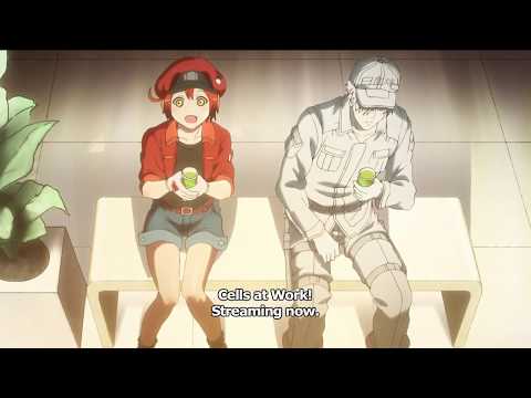 Трейлер CM1 ED ver. (Aniplex) Sub
