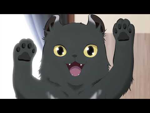 Трейлер PV1 