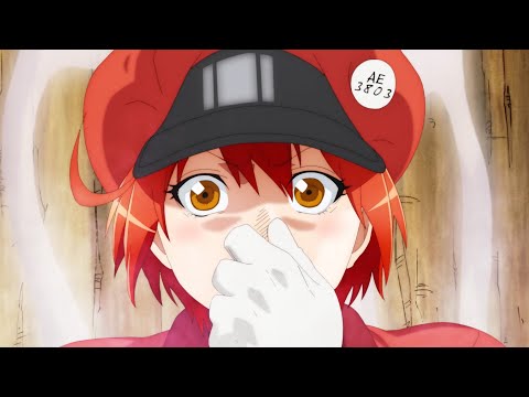 Трейлер PV1