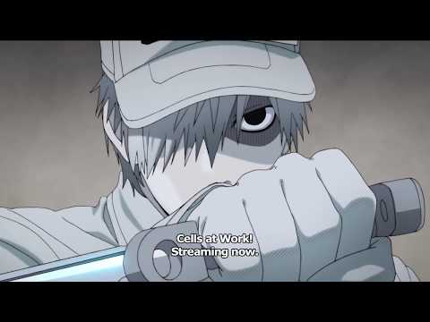 Трейлер CM1 OP ver. (Aniplex) Sub