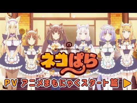 Трейлер PV1