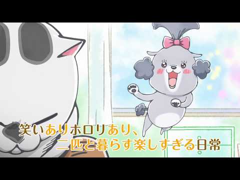 Трейлер PV1
